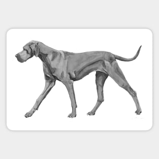 Great Dane Blue Magnet